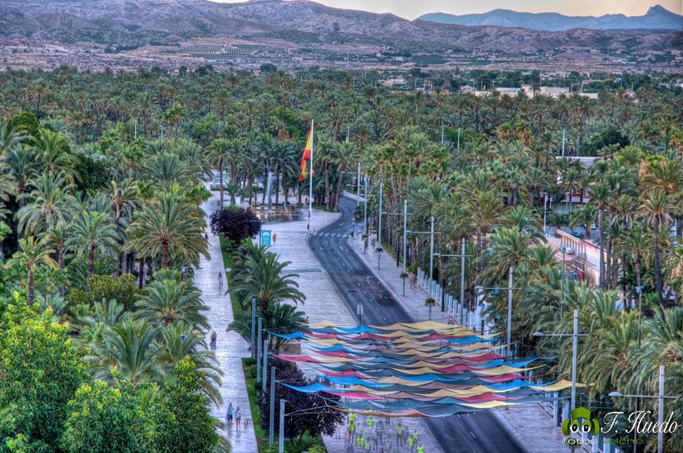 FERIA DEL CAMPO DE ELCHE