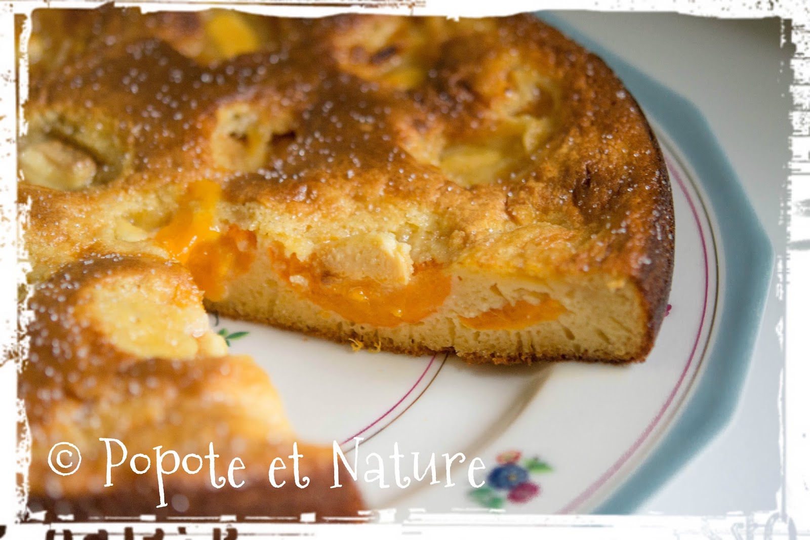 © Popote et Nature - Gâteau aux abricots et au chocolat blanc