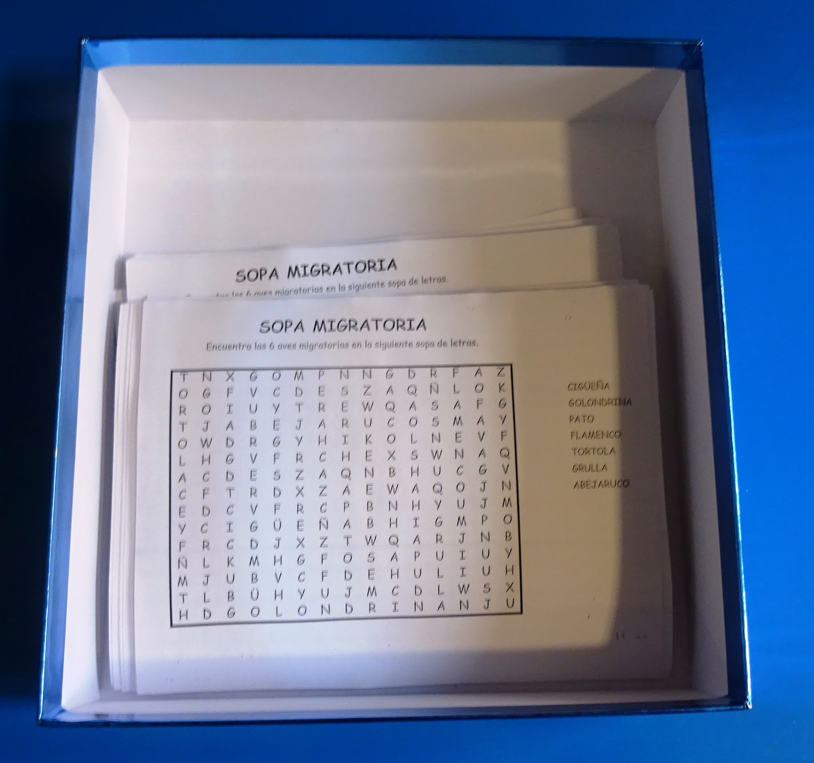 Uniendo Nuestras Voces Para La Conservacion De Las Aves 6º De E Primaria Y El Dia Mundial De Las Aves Migratorias