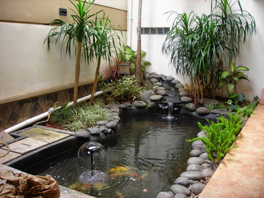 Taman Minimalis Belakang Rumah Taman Minimalis Belakang Rumah