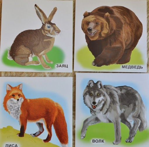 Карточки с дикими животными для детей. Макси пазлы лесные животные 02544. Дети диких животных. Картинка белка заяц медведь. Мультяшные животные.