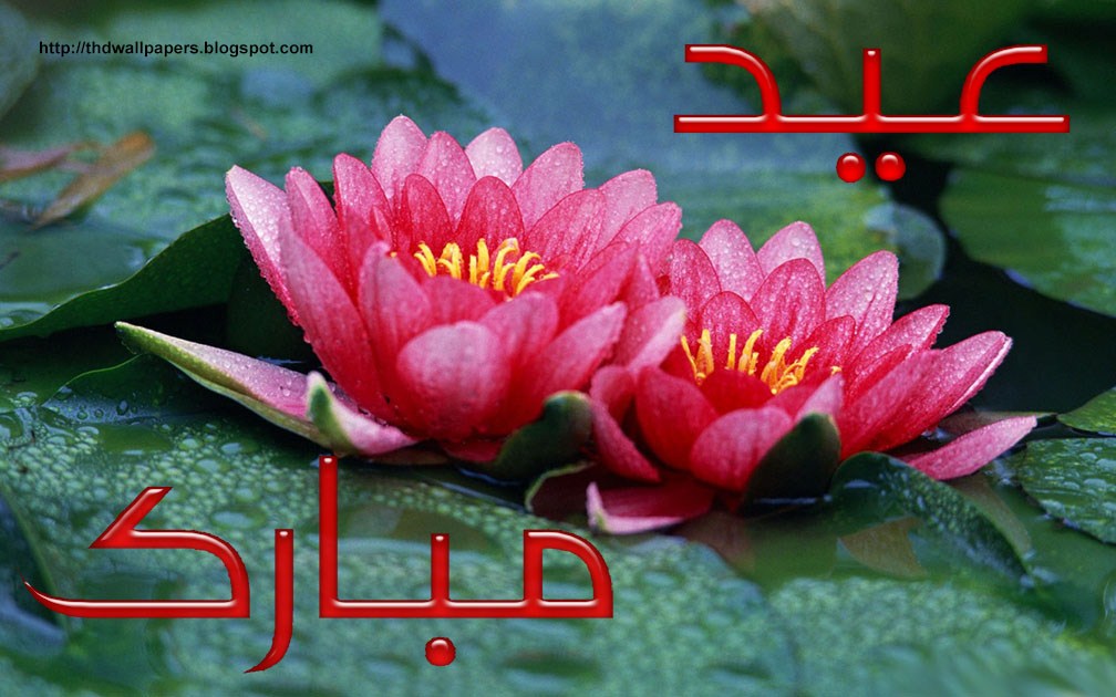 EidulAdha Zuha Mubarak 2012 Flowers Greeting Cards in