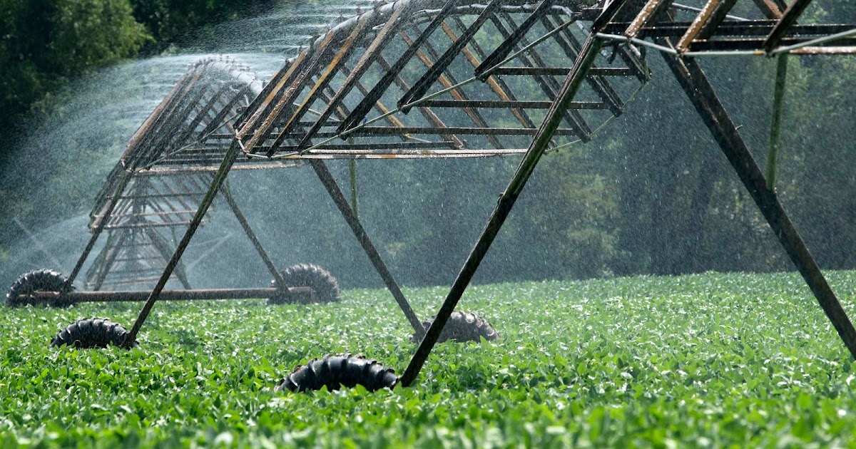 IRRIGATION SYSTEMS & SVCS IN QATAR