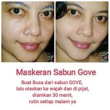 www.gove.biz.id www.gove.biz.id