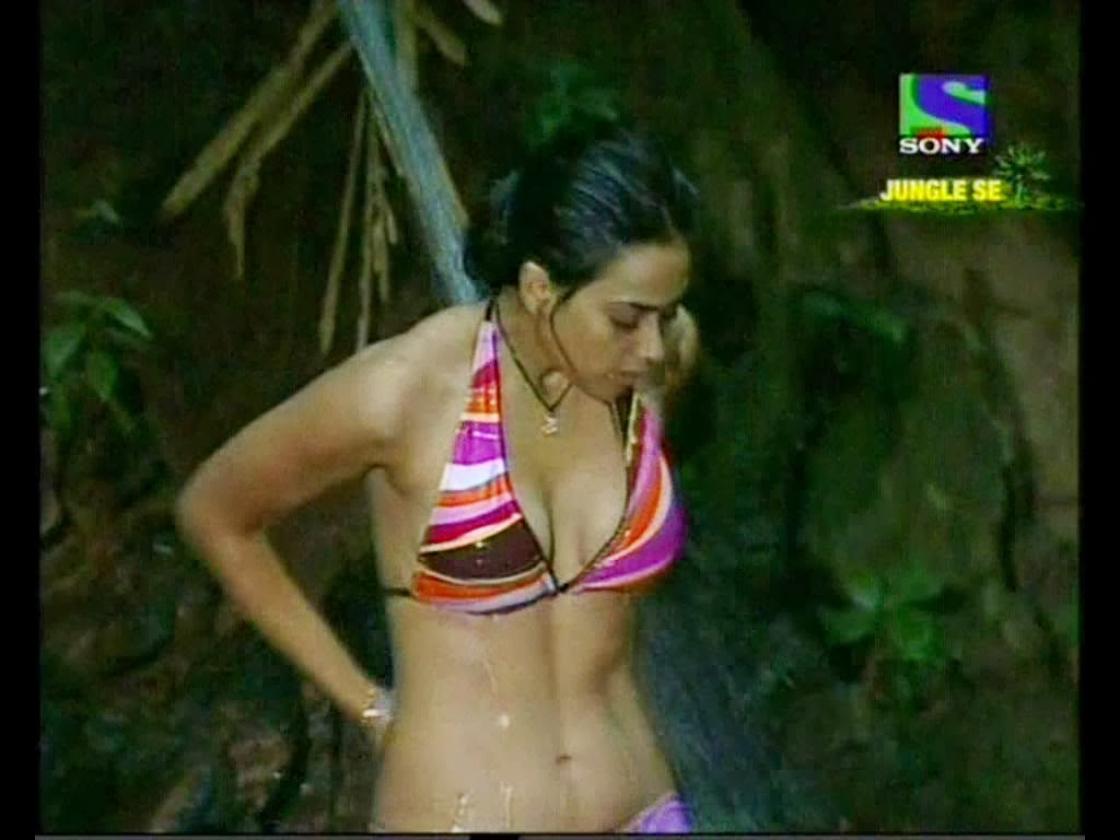 Hindi Tv Serial Actress Shweta Tiwari Hot Wet Bikini Stills Hot Blog