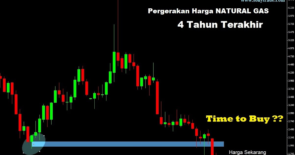 Investasi forex murah