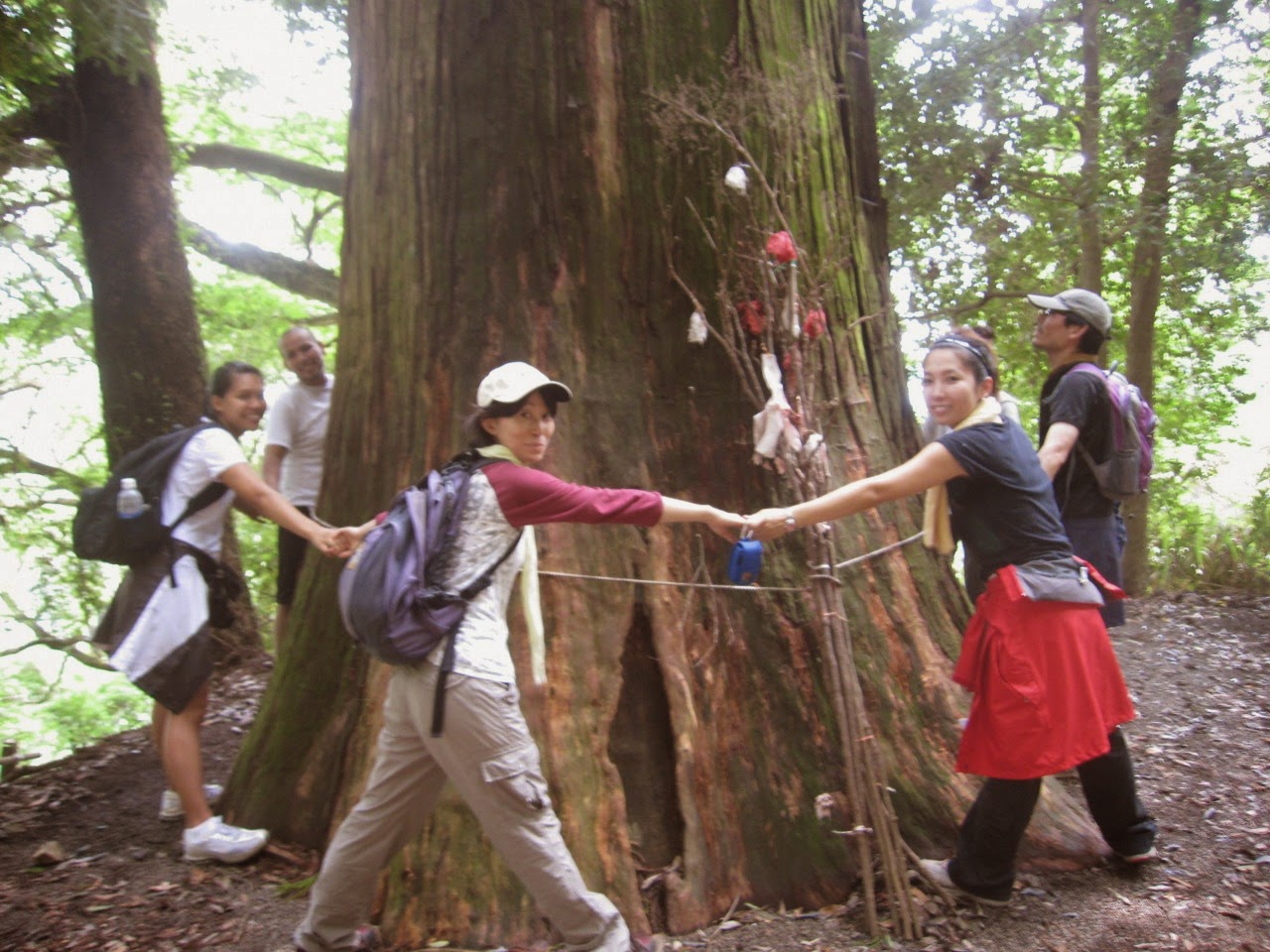 くまがあなたの健康について何を物語っているかを発見してください