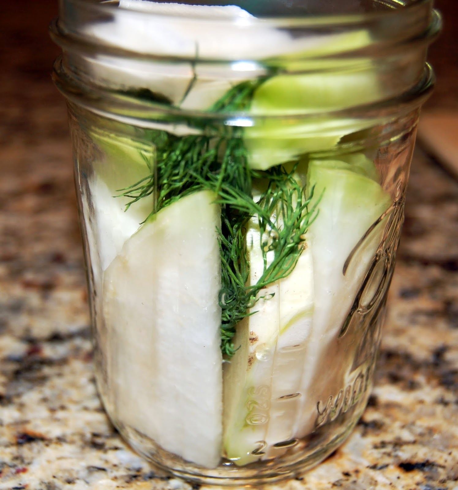 Eat What's On Your Plate Ode to the Pickle Pickled Kohlrabi