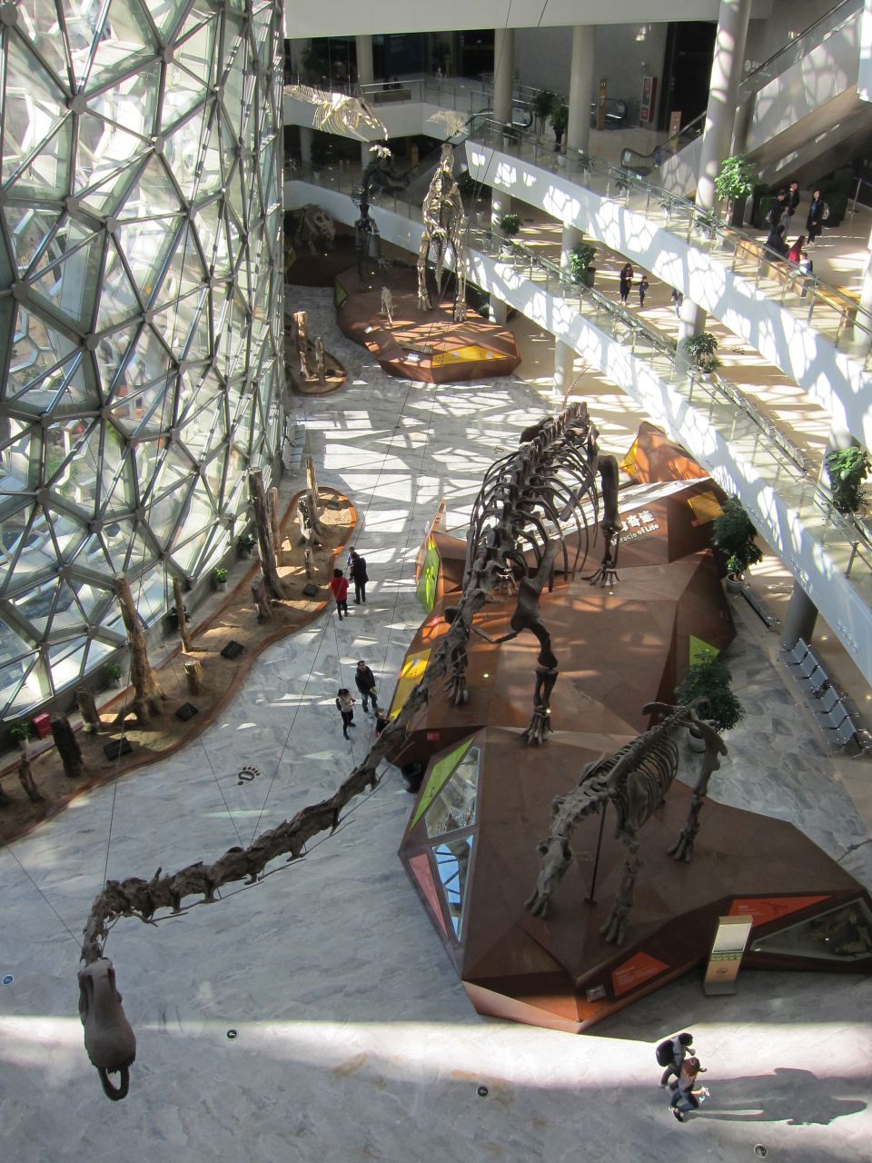 Shanghai Natural History Museum Tickets Shanghai Natural History Museum Tickets