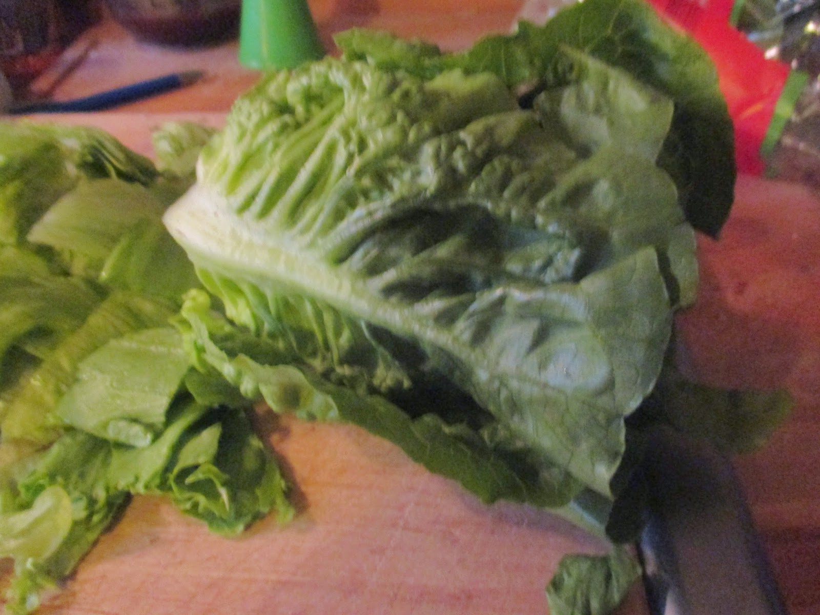 Salat mit Bärlauchdressing – glatzkoch.de