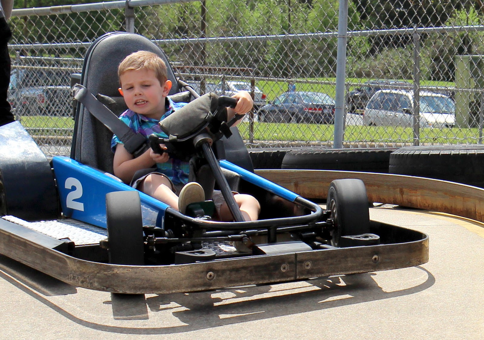 Snake & Snails, Sugar & Spice..The Galbraith Tales Adventure Landing