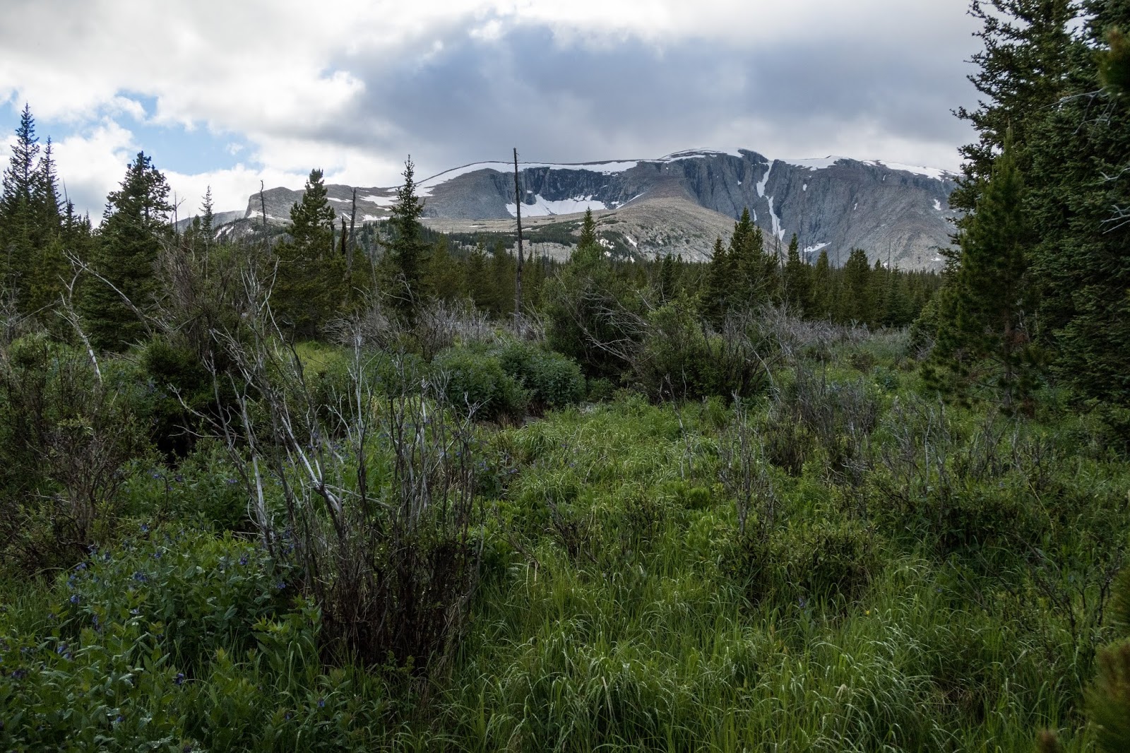 Eric's Hikes Bighorn Mountains Circle Park Loop