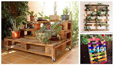 Pallets de madera reutilizados para colocar plantas