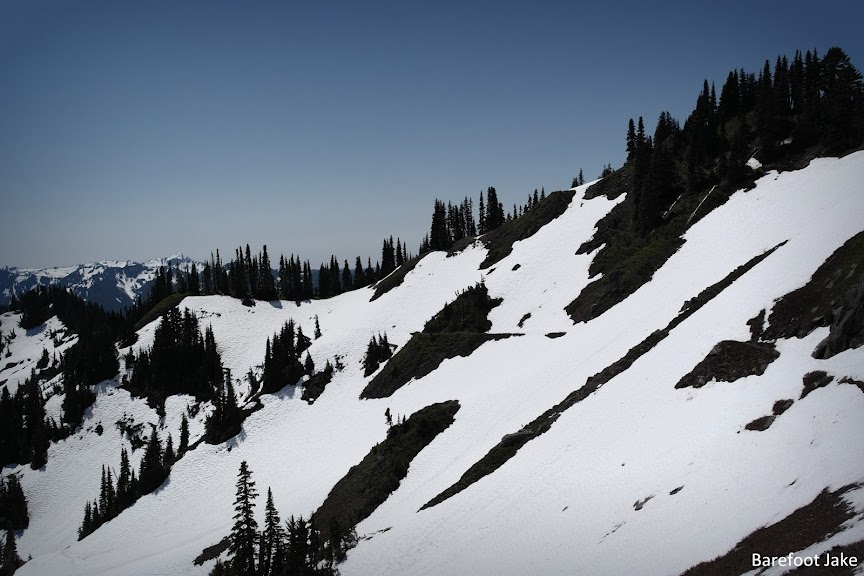 Hoh Lake Trial in spring Hoh Lake Trail