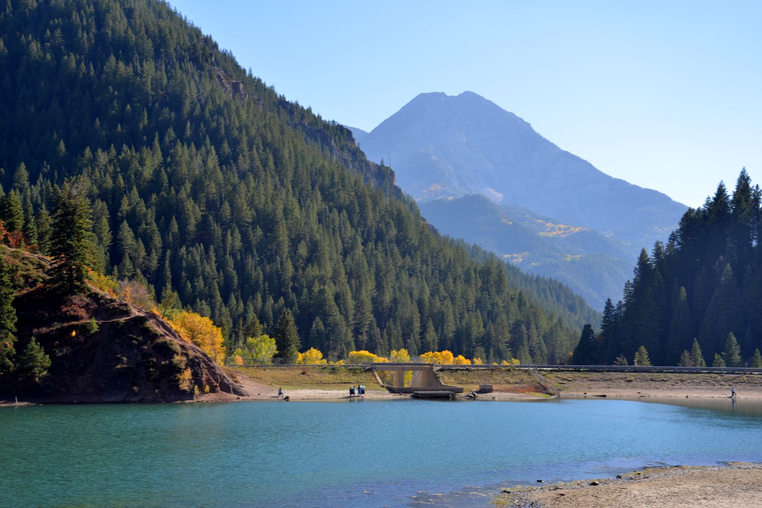 American Fork Canyon lightinleaves