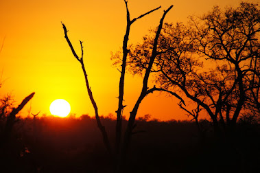 POR DO SOL ÁFRICA