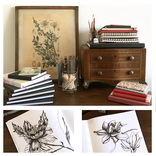 sketchbooks, botanical designs, flower drawings, Barbie McGuire