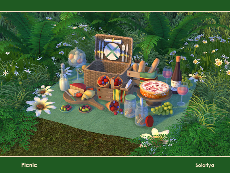 soloriya Picnic. Sims 4