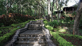 DSC07098.JPG