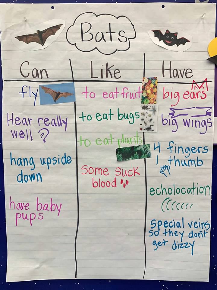 Miss Powers Creative Classroom