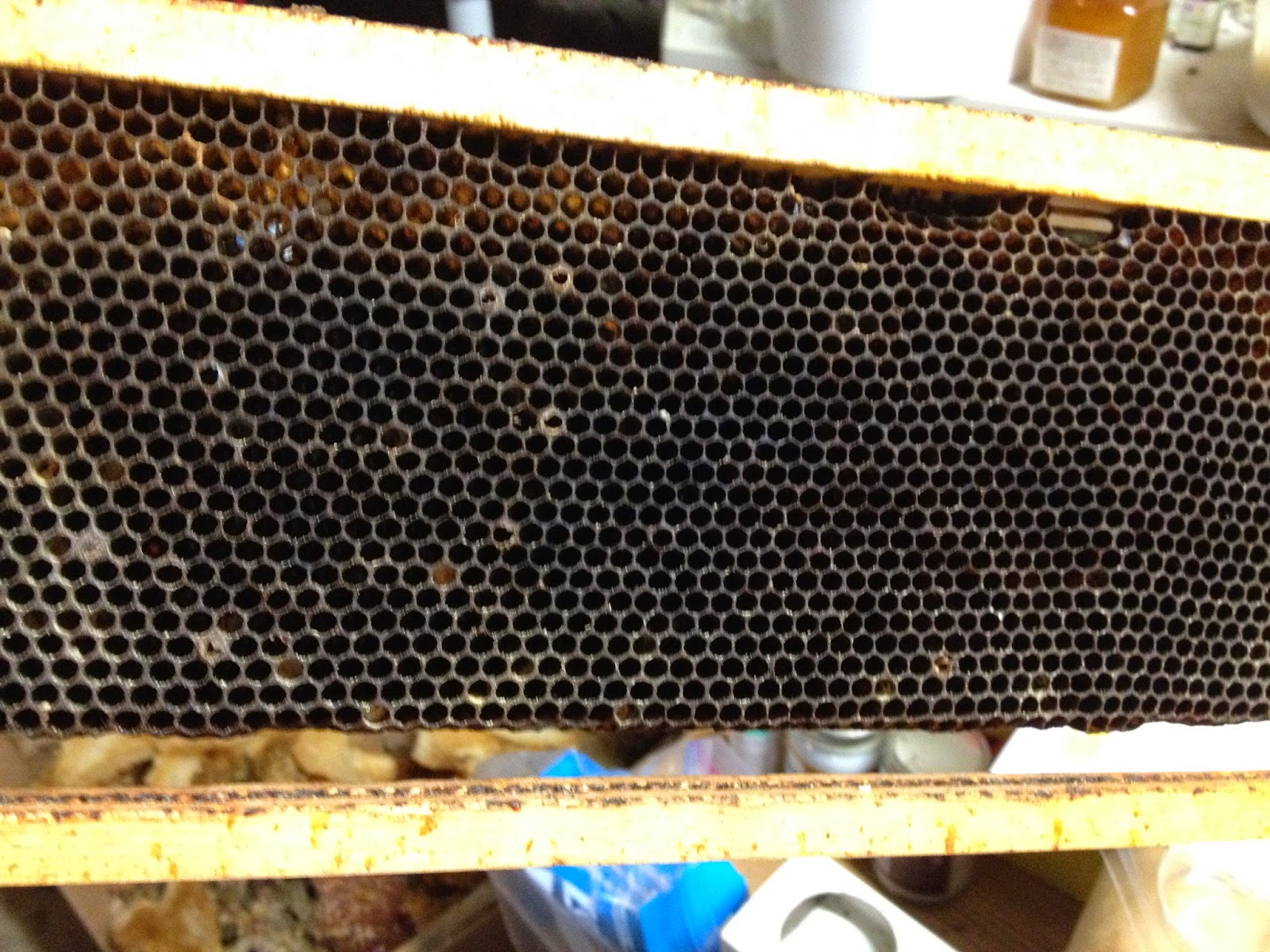 Linda's Bees Truly, Madly, Completely Foundationless Frames