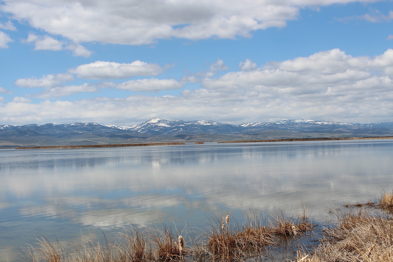 Cailleau: Trip to Bear Lake Utah/Idaho 2012