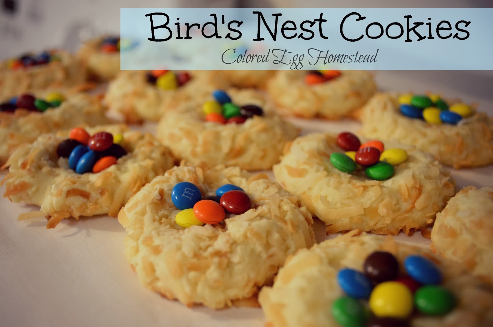 Colored Egg Homestead Bird's Nest Cookies Recipe