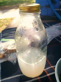 Ginger Lemonade:  A series of wonderful vegetarian dishes pair perfectly together for a Fall/Winter Picnic, indoors or out! - Slice of Southern