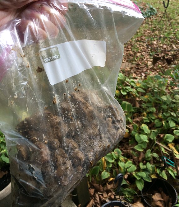 Dishfunctional Designs A Rockhound's Crystal Hunting Field Trip