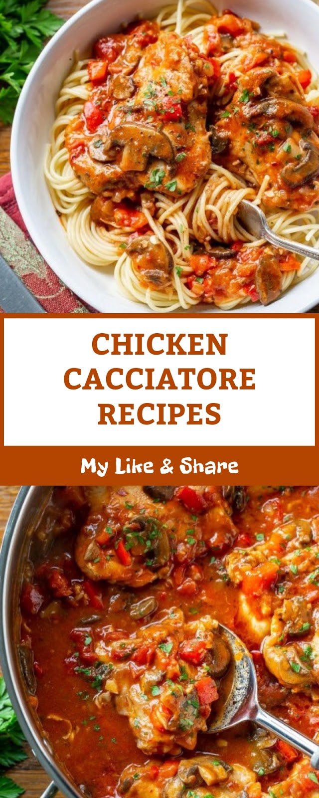 CHICKEN CACCIATORE RECIPES CHICKEN CACCIATORE RECIPES