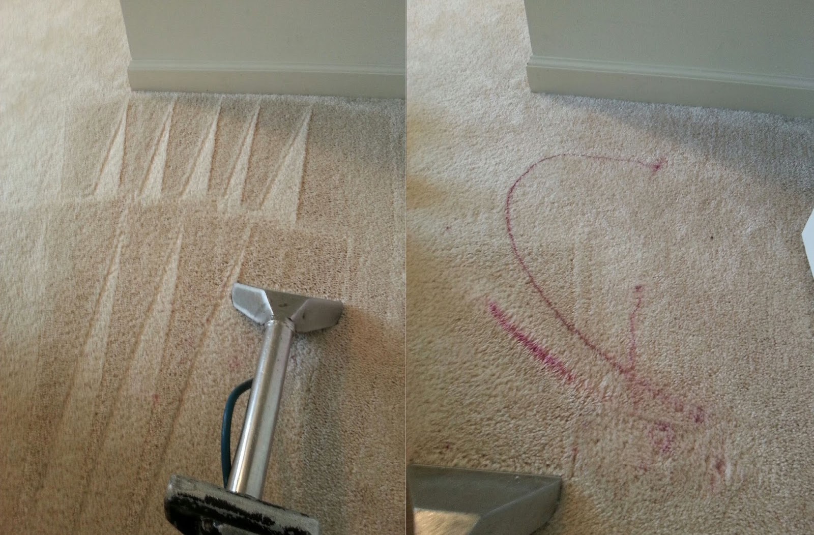 best carpet spot cleaners best carpet spot cleaners