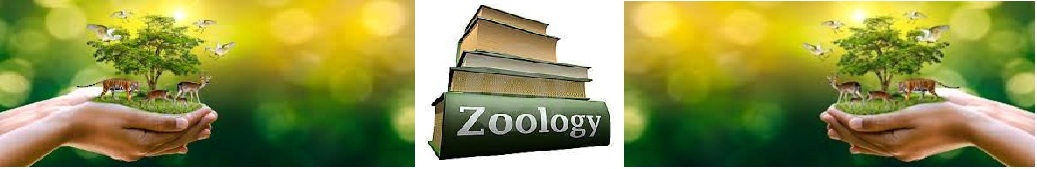 DEPARTMENT OF ZOOLOGY