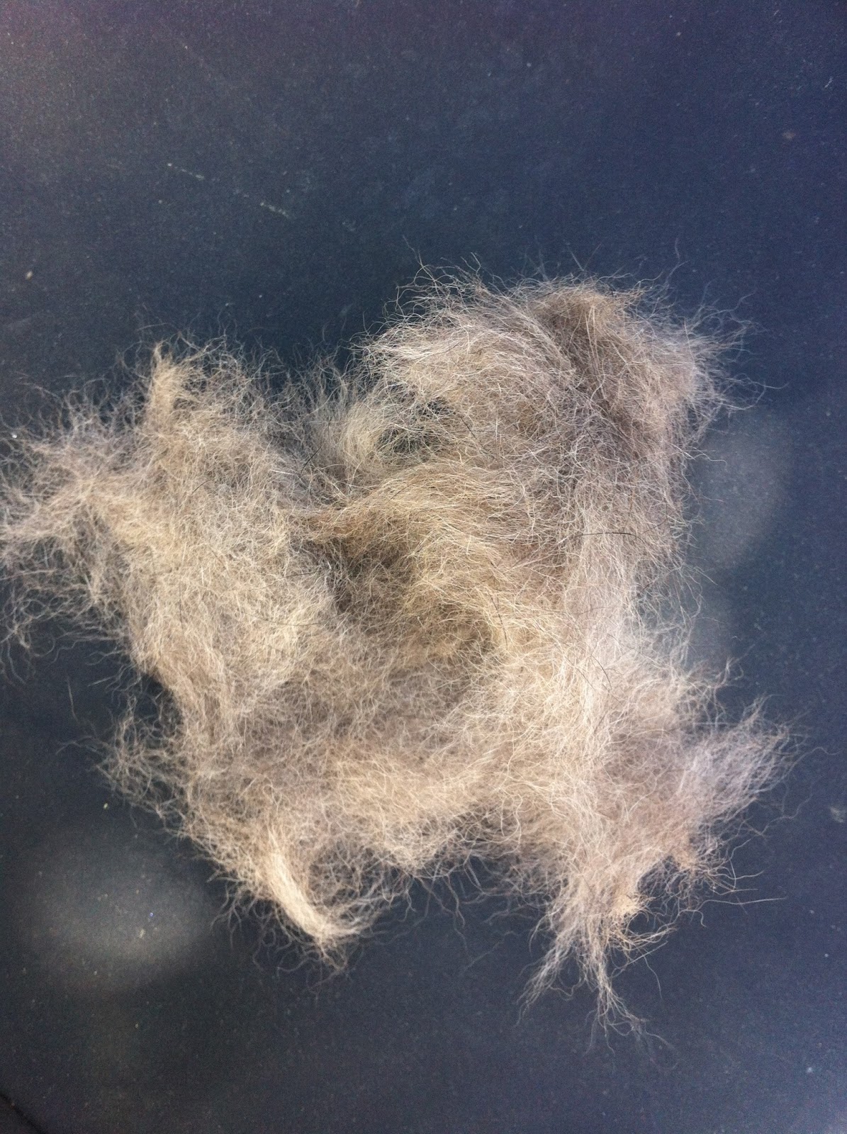 The Merry Spinster A Dog Hair Sweater?