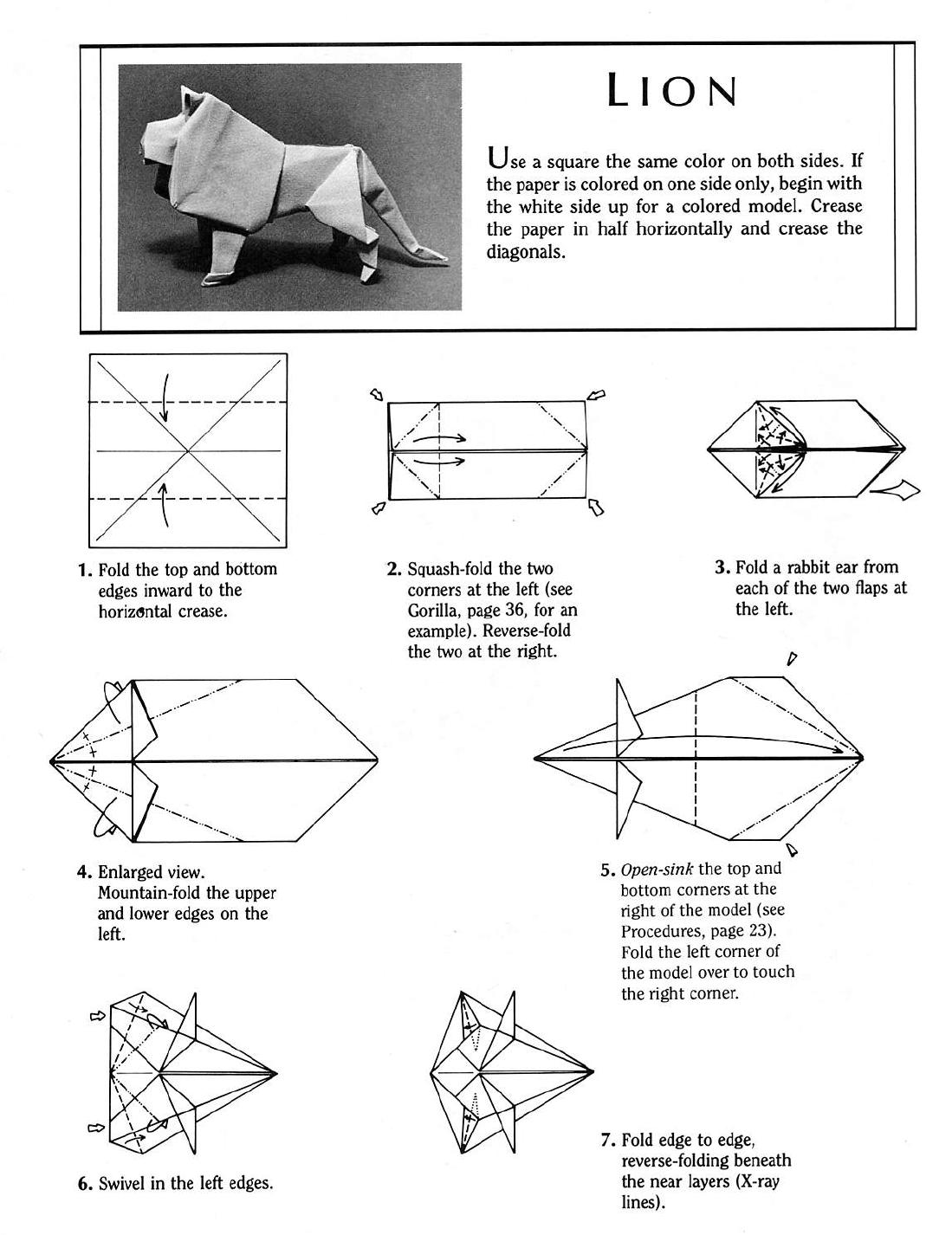 PAPIROFLEXIA PARA TODS LEON