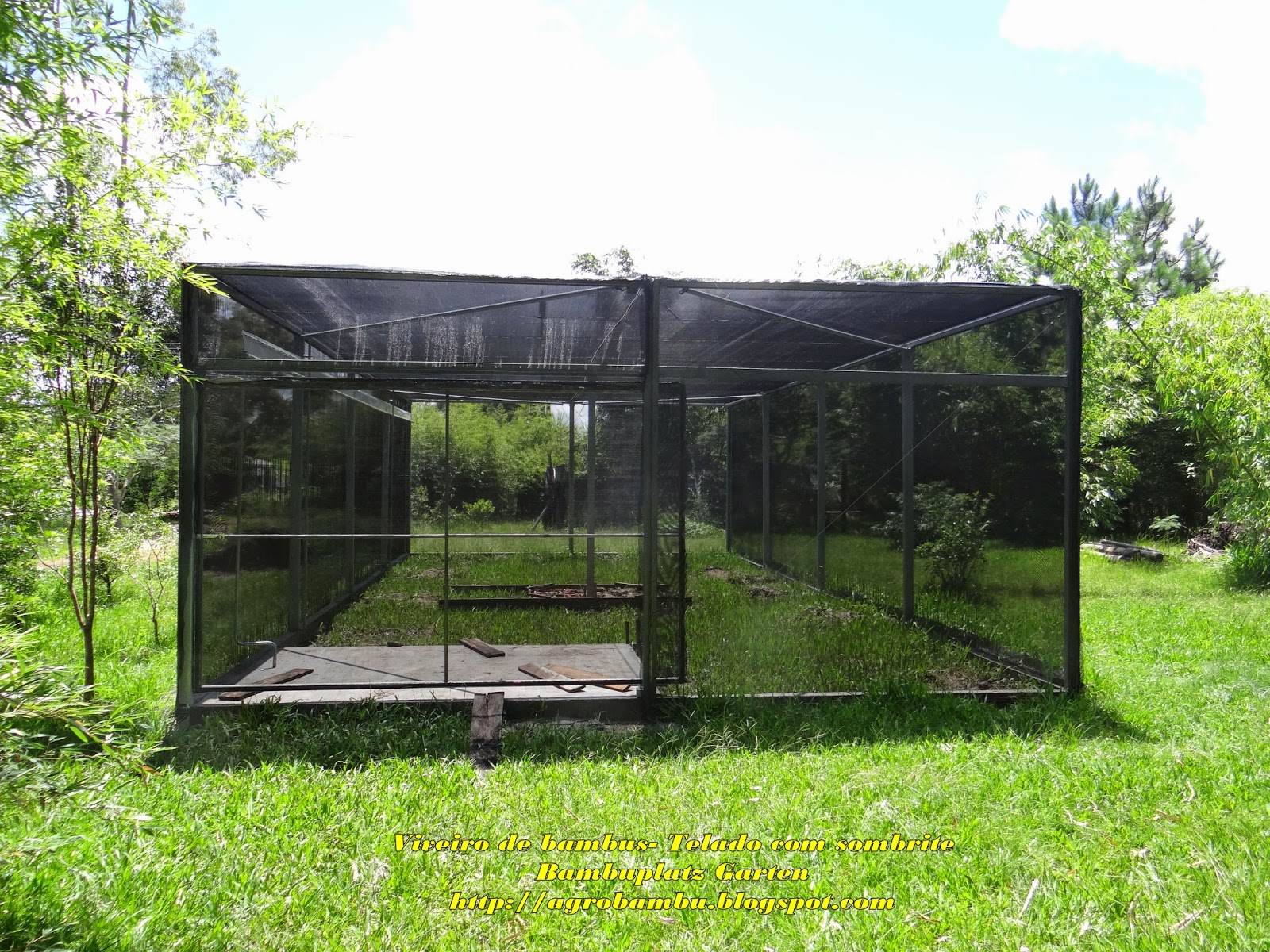 Agrobambu/Bambuplatz Garten VIVEIRO DE BAMBUS