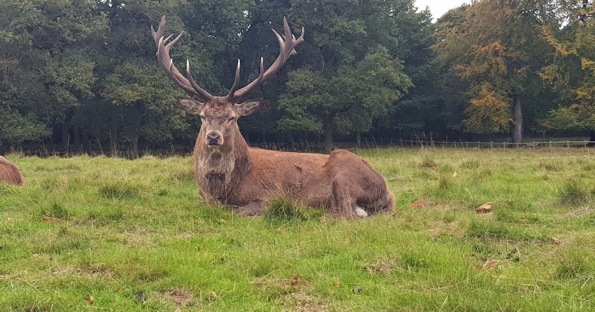 Danny's Angling Blog Simple Float ledger Rig For Pike Fishing