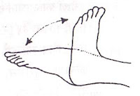 ankle-yoga-exercise-in-hindi