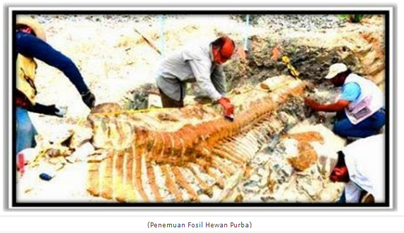 Pengertian Fosil - Belajar Online