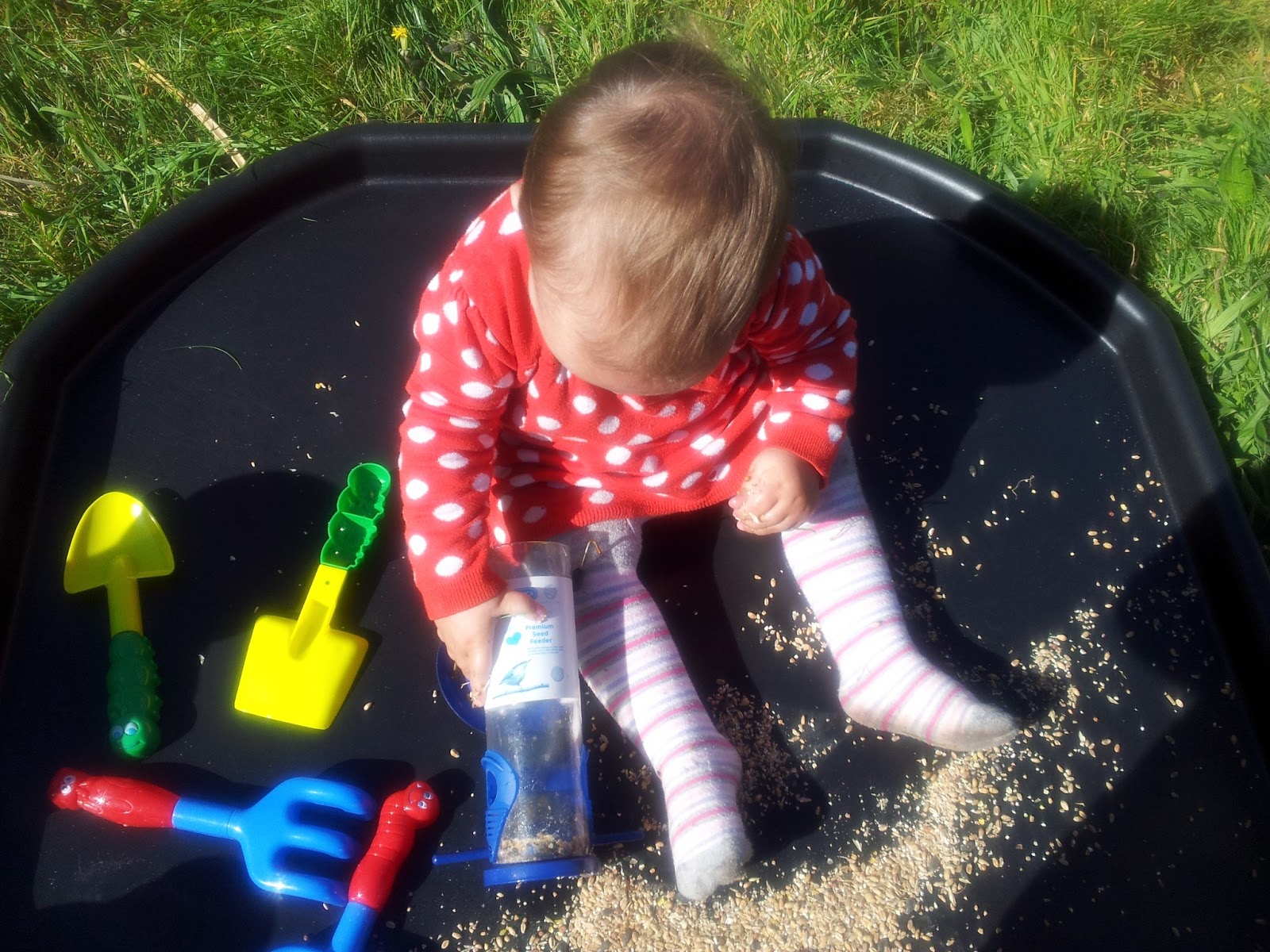 , Planting Sunflower Seeds- Messy Play for Matilda Mae