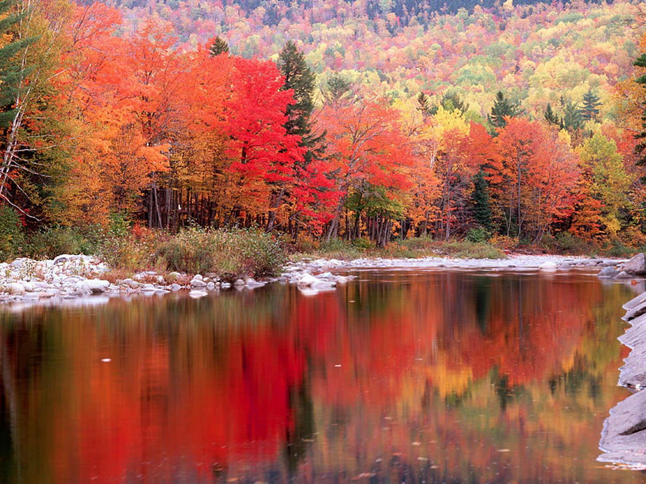 fond d'ecran gratuit quebec