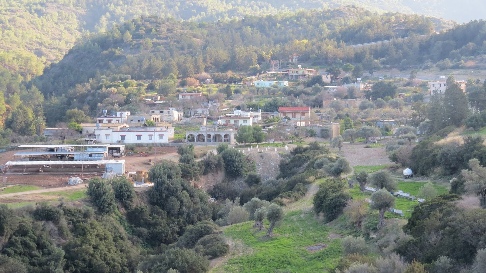 Biodiversity of Cyprus by NGO Protection of the Natural Heritage and