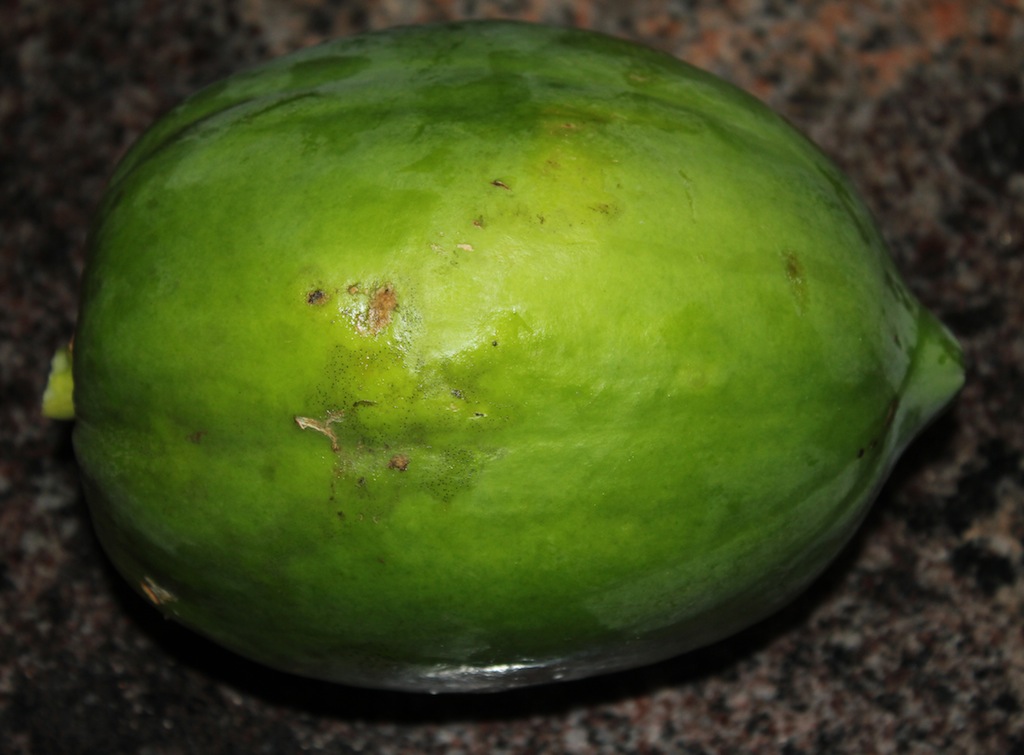 Ruchi Ruchi Aduge Papaya Palya