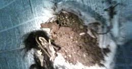 TELEPORT GHAIB | SUPRANATURAL INDONESIA