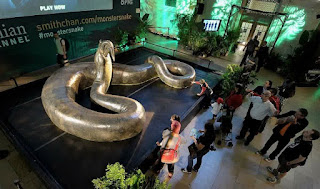Anaconda Anaconda