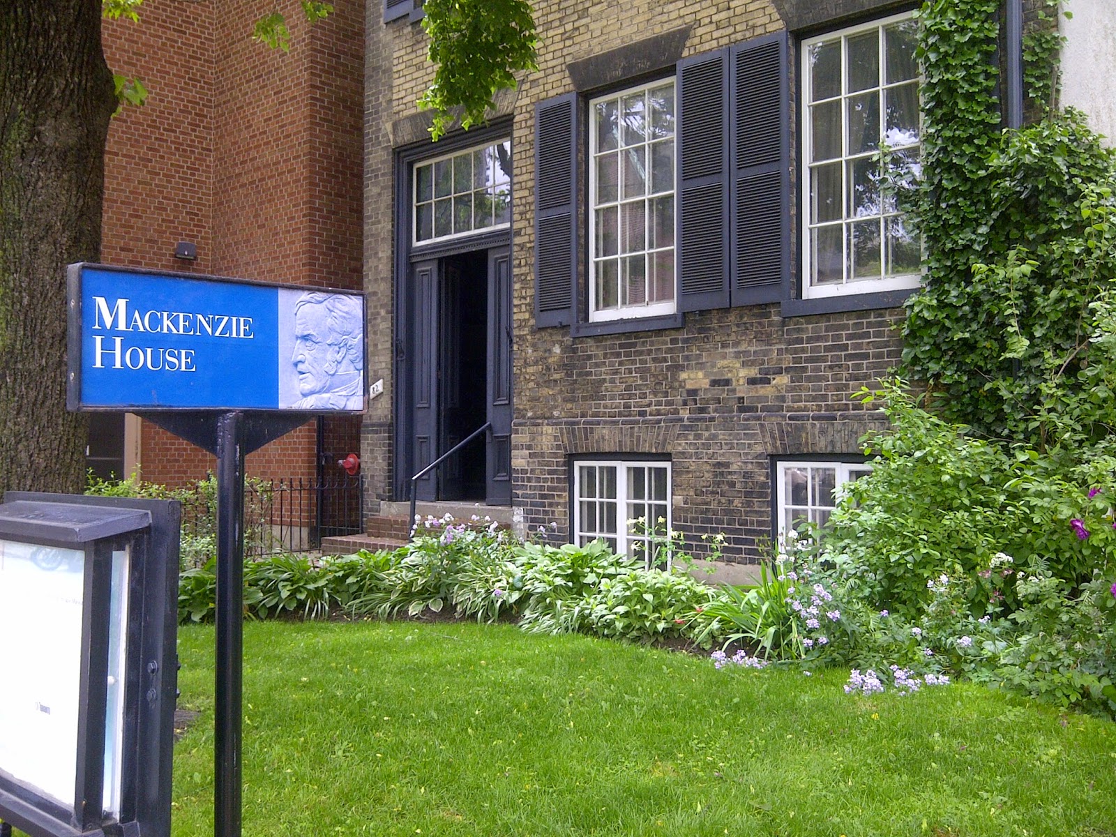 MUSINGS WHAT'S HAPPENING WEDNESDAYS