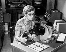 要求:安迪·鲁宾的公司消失了。