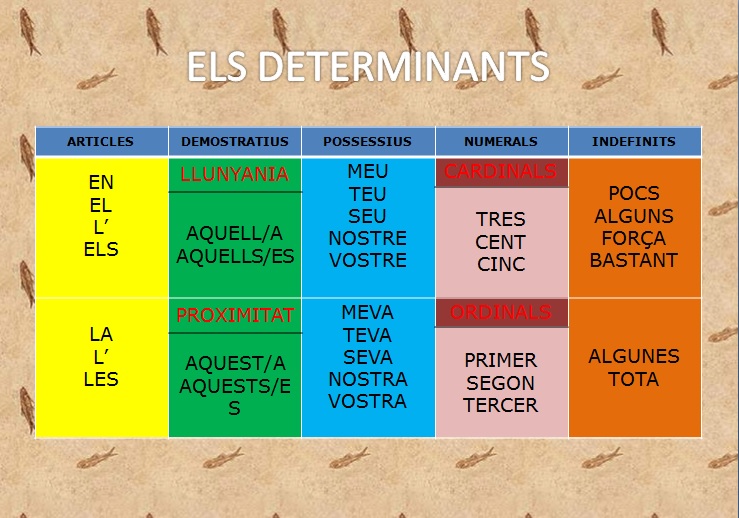 Tram dels Grans: Els determinants Tram dels Grans: Els determinants