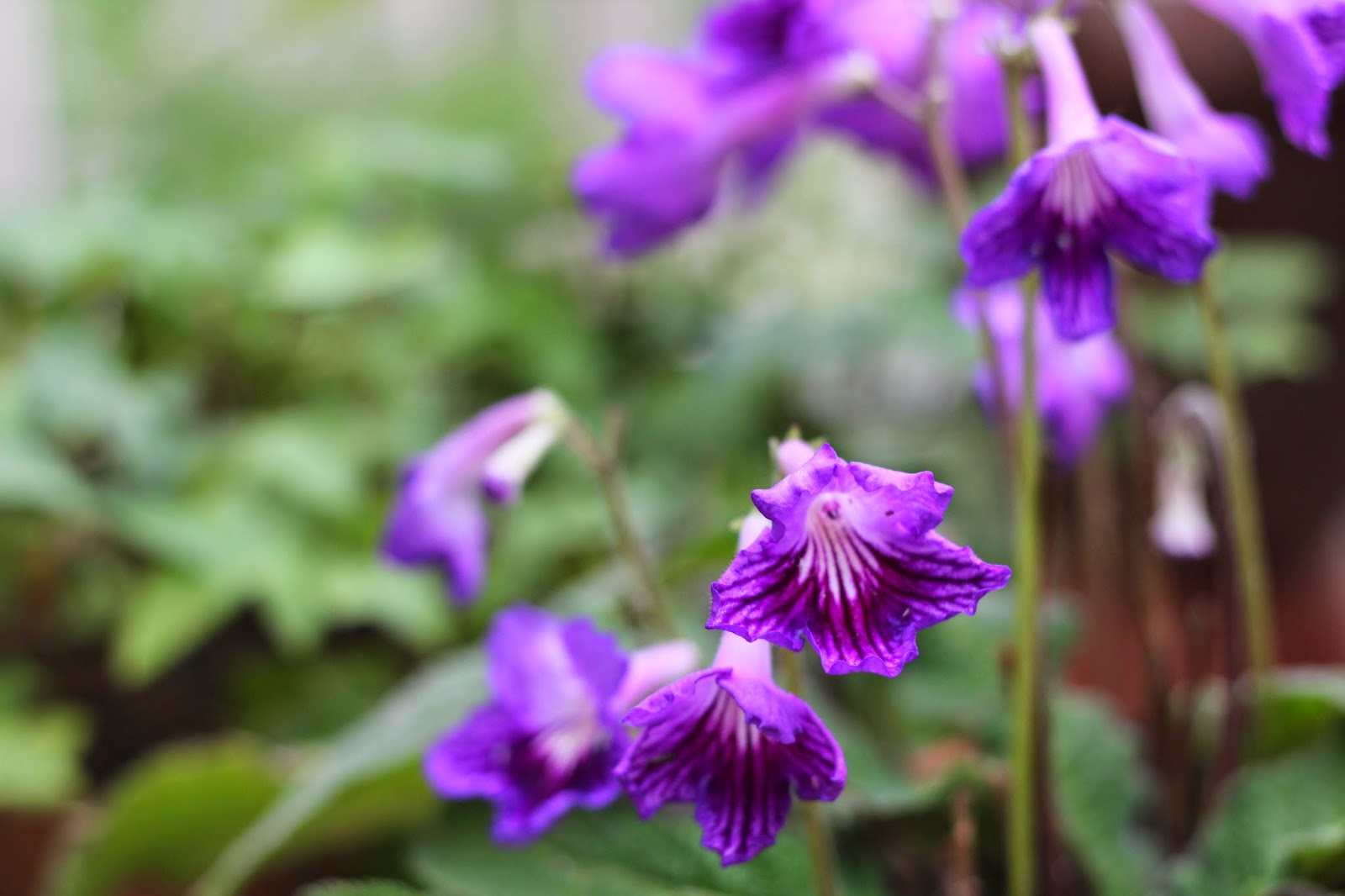 Reasons to Love British Rain. What the Elle