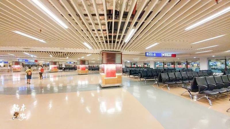 台灣虎航搭機流程攻略|虎航班機設施介紹|台灣虎航搭機注意事項|台灣虎航行李規定|台灣大哥大4G+飆速雙網卡日本漫遊通5+1日上網吃到飽|桃園國際機場攜帶現金(台幣、外幣)規定