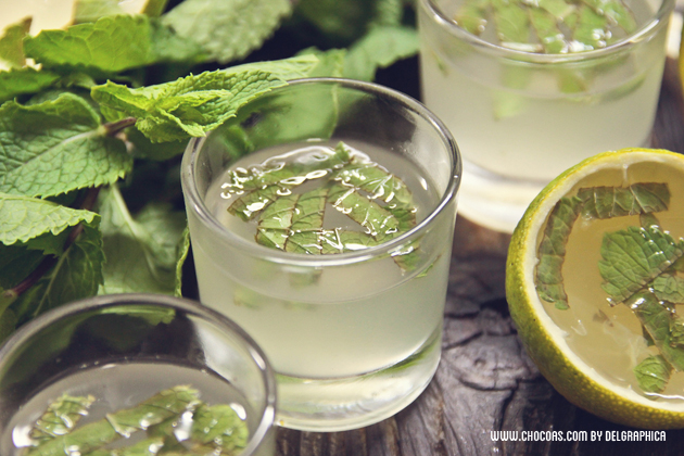 Chupito de gelatina de mojito 